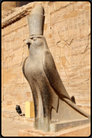 Statue des Horus in Falkengestalt vor dem Eingang zur Vorhalle