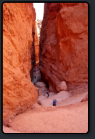 Blick in den Canyon des Navajo Trail