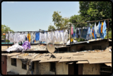 Trocknen der Wäsche in der Open-Air-Wäscherei Mahalaxmi Dhobi Ghat