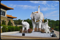 Elefanten am Eingang zum Buddha Memorial Center