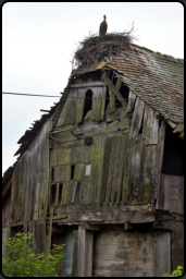 Altes Holzhaus mit Storchennest