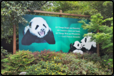 Plakat im Panda Breeding and Research Center