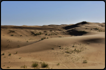 Blick über die Sanddünen