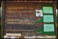 Informationstafel zum Urwald im Reinhardswald