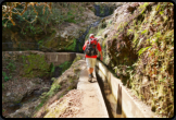 Unser Wanderführer auf dem Wanderweg Levada do Furado