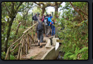 Die Wandergruppe auf dem Wanderweg Levada do Furado