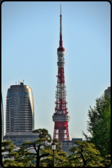 Blick aus der Ferne auf den Tokyo Tower