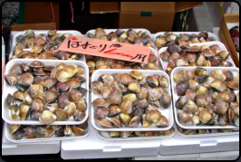 Muscheln auf dem Fischmarkt