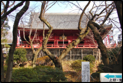 Kan'ei-ji Temple im Ueno-Park