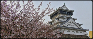 Kirschblüte am Kokura Castle