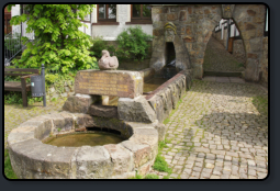 Brunnen in Schwalenberg