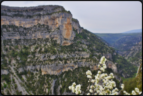 Felsformationen über der Nesque-Schlucht (Georges de la Nesque)