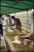 Krabben-Verkauf auf dem Markt