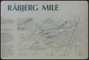 Info zur Wanderdüne Rubjerg Mile